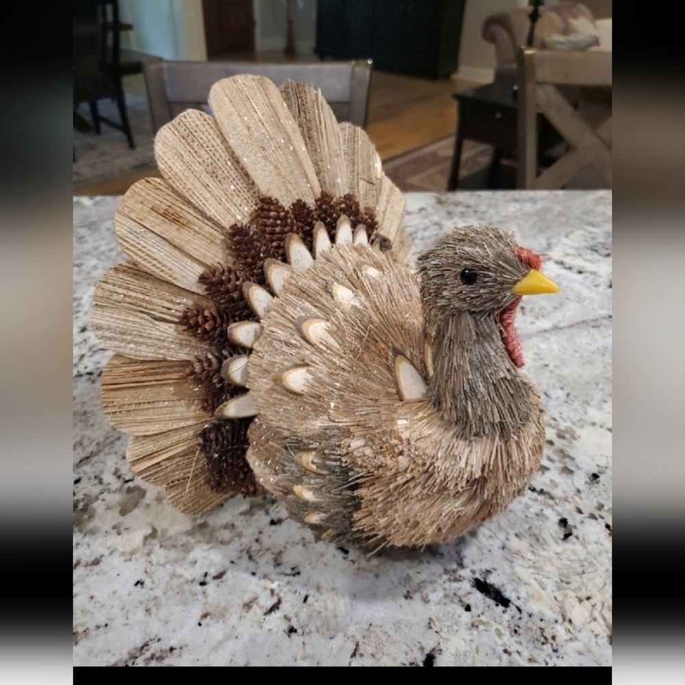 Gorgeous Natural Turkey-NWT